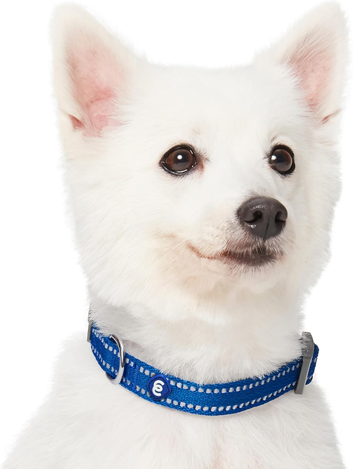 Reflective Adjustable Dog Leash Petcetera