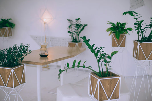 How the Right Home Accessories Can Instantly Transform Your Space