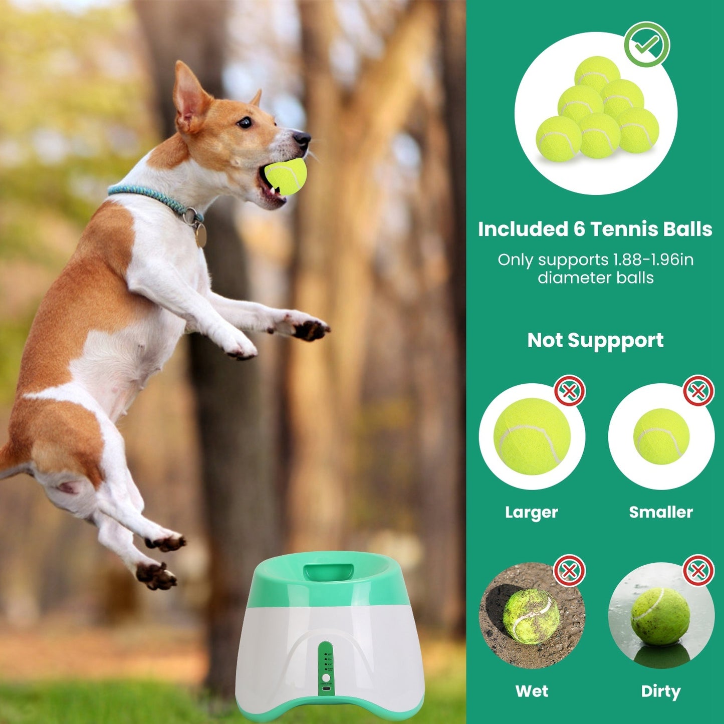 Automatic Dog Ball Launcher with Tennis Balls