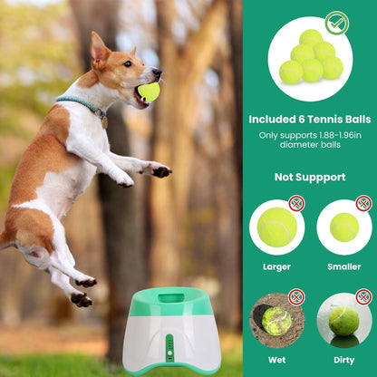 Automatic Dog Ball Launcher with Tennis Balls