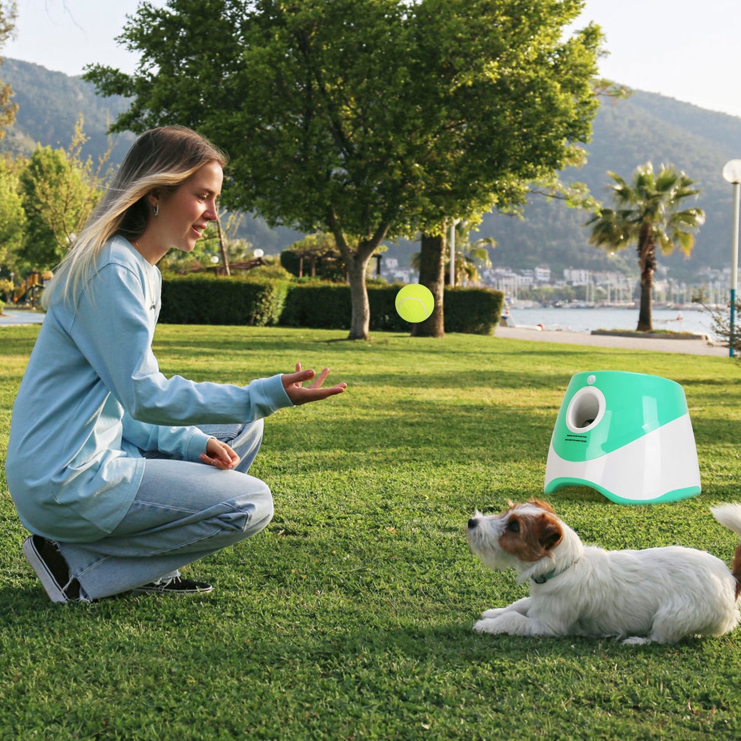 Automatic Dog Ball Launcher with Tennis Balls