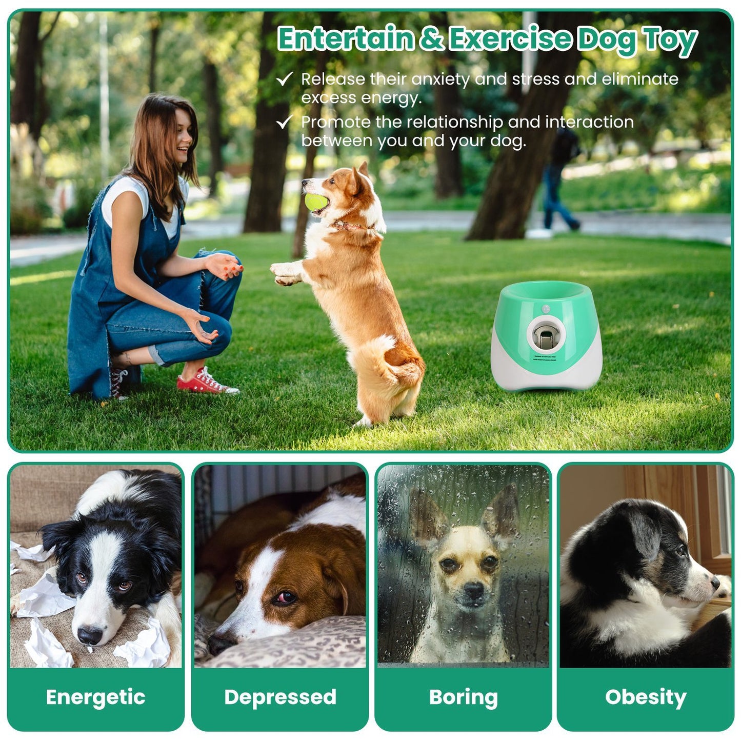 Automatic Dog Ball Launcher with Tennis Balls