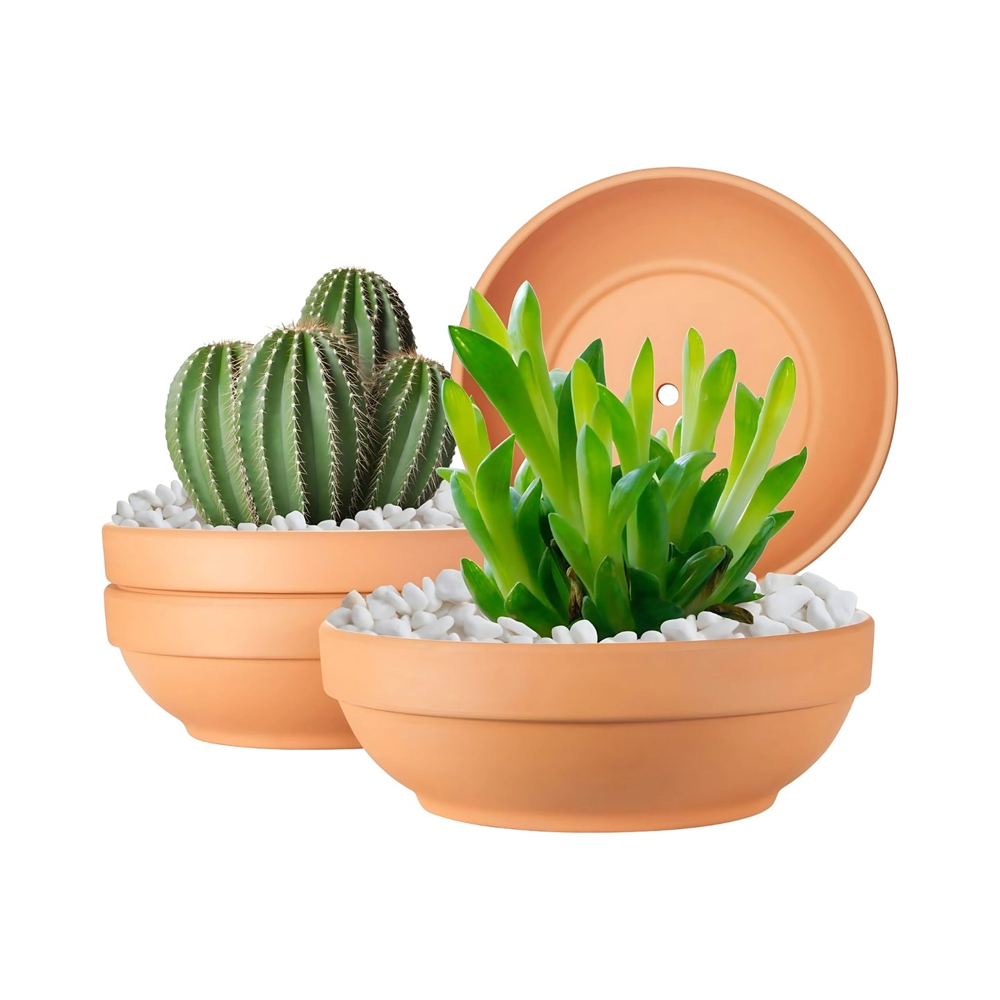 Terracotta Clay Planter Pots with Drainage for Indoor Outdoor Plants